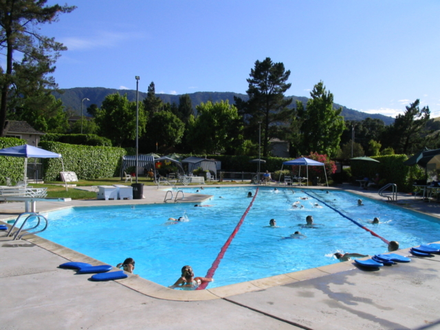 Swim in Almaden Valley