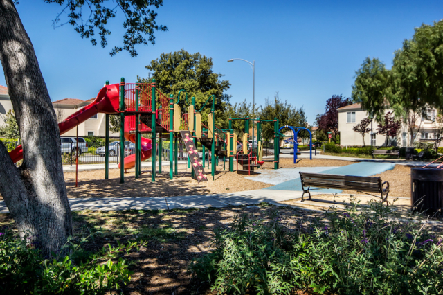 Almaden Winery Park Playground and Neighborhood