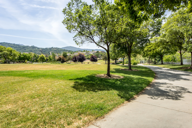 Glenview Park View and Path