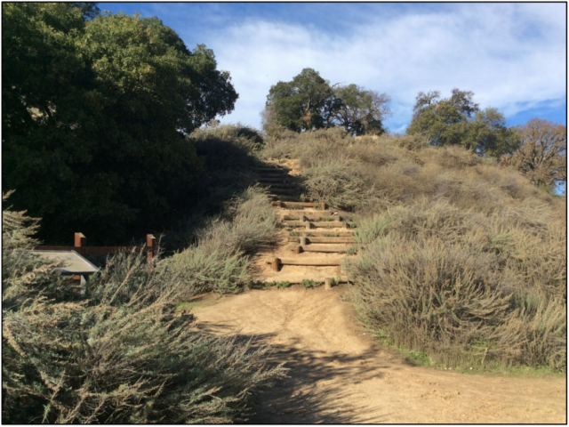 Guadalupe Oak Grove Park Trail with Steps
