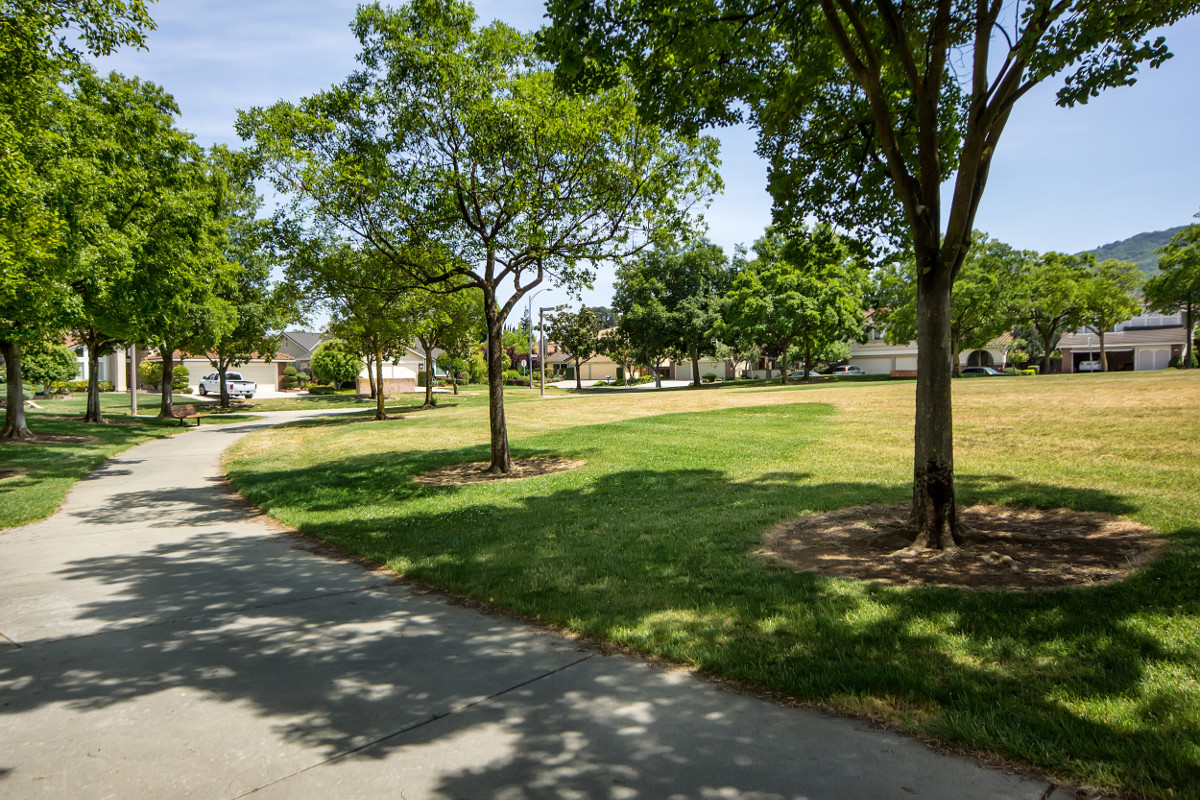 1180 Mountain Quail Circle - View of Neighborhood from Path through Glenview Park