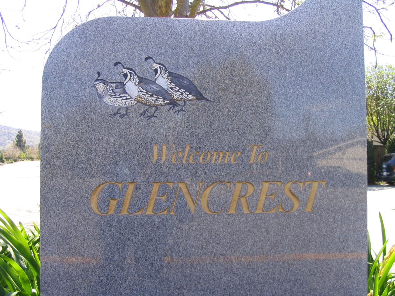 1146 Quail Creek Circle, Welcome to Glencrest