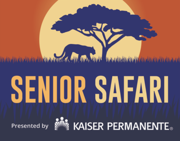 Senior Safari