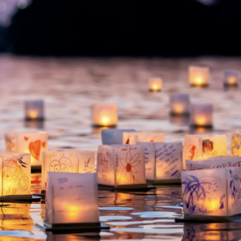Water Lantern Festival at Almaden Lake Park 2026